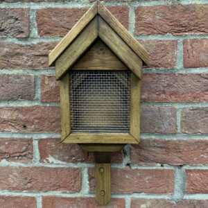 The House - Bird Feeder